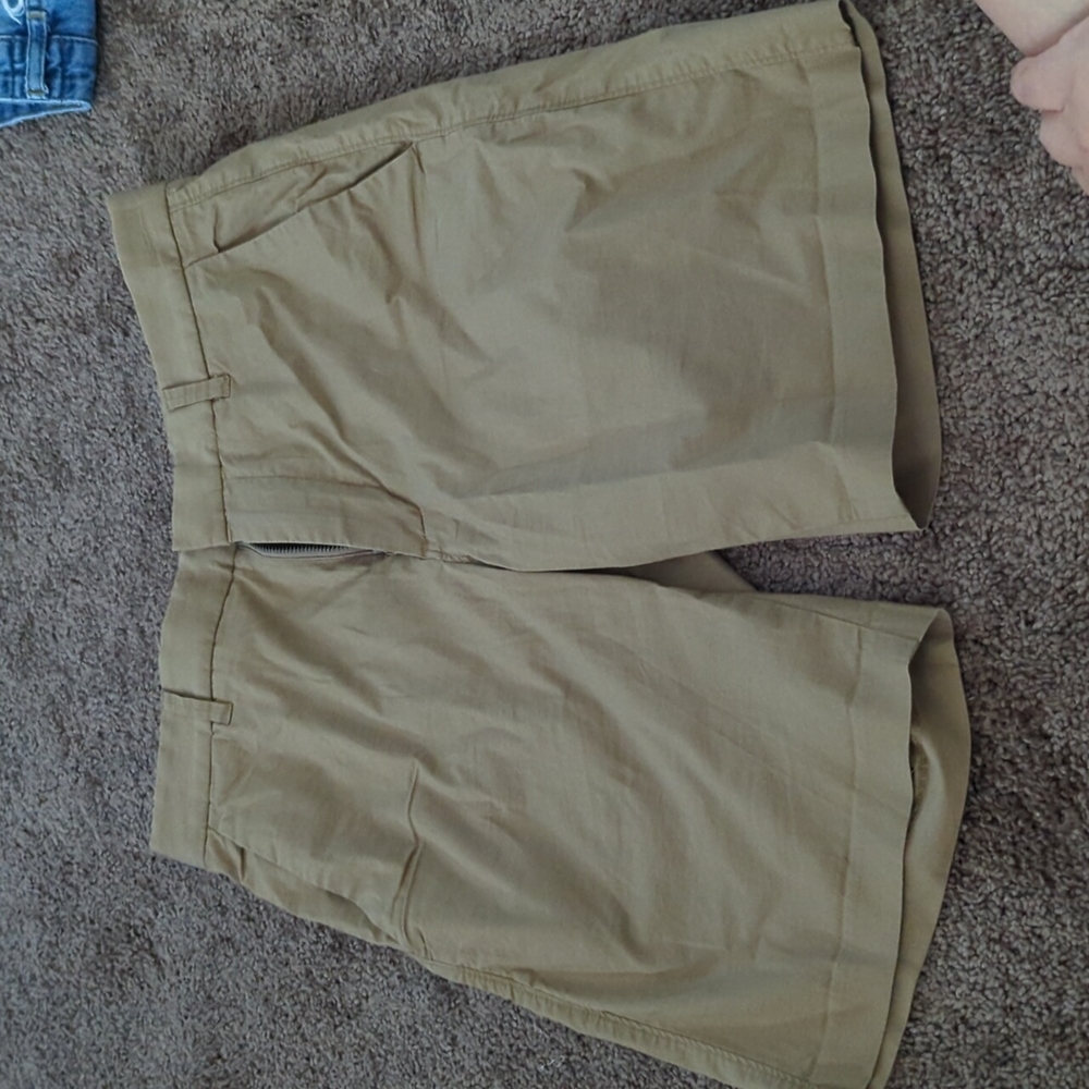 Everlane shorts
